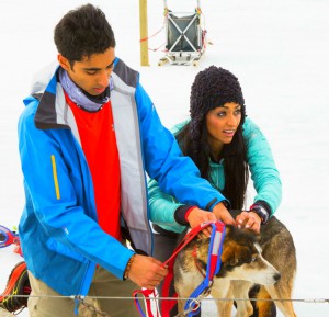 Sukhi Atwal and Jinder Atwal harness up there pups on The Amazing Race Canada 2